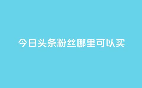 今日头条粉丝哪里可以买 - 在哪里可以购买今日头条粉丝?! 第1张 今日头条粉丝哪里可以买 - 在哪里可以购买今日头条粉丝?! 第1张