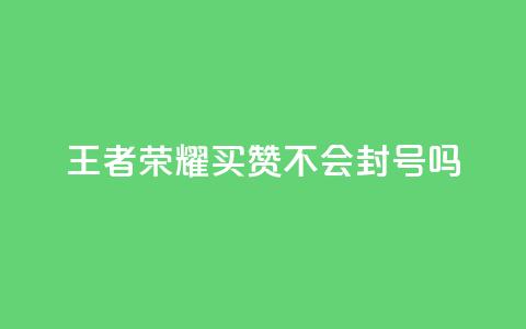 王者荣耀买赞不会封号吗 - 王者荣耀买赞是否会被封号?揭秘封号风险!~ 第1张 王者荣耀买赞不会封号吗 - 王者荣耀买赞是否会被封号?揭秘封号风险!~ 第1张