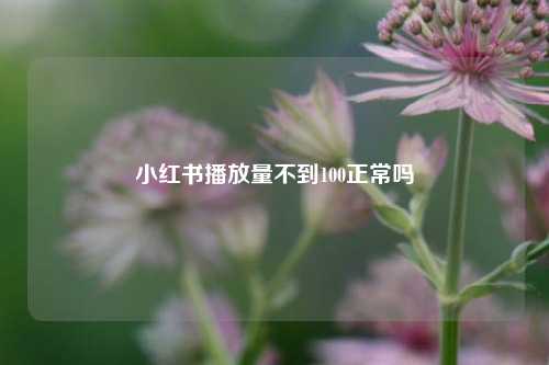 小红书播放量不到100正常吗  第1张