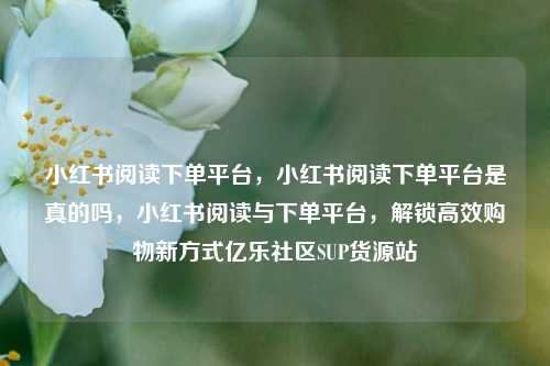 小红书阅读下单平台，小红书阅读下单平台是真的吗，小红书阅读与下单平台	，解锁高效购物新方式亿乐社区SUP货源站  第1张